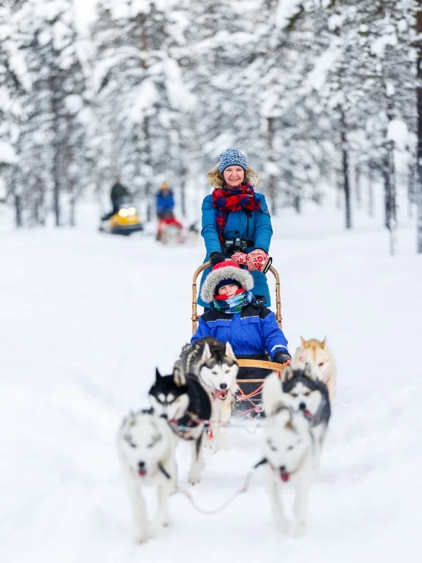 狗拉雪橇体验之旅 Dog Sledding Adventure $145/人