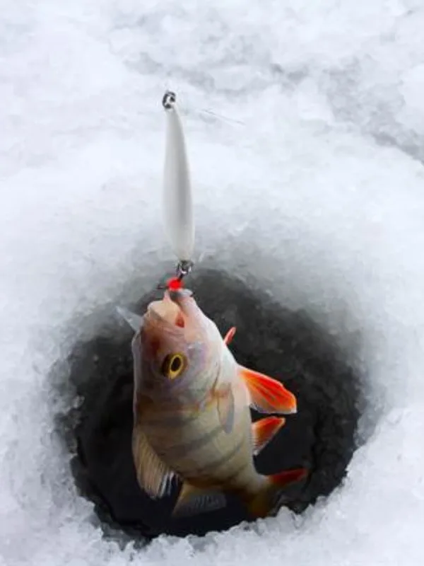 湖上木屋冰钓烧烤之旅 Ice Fishing Tour