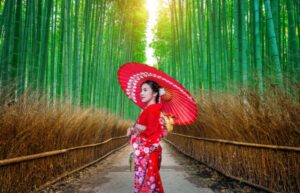 Arashiyama bamboo forest 日本岚山