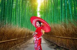 Arashiyama bamboo forest 日本岚山