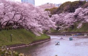 上野公园Ueno Koen