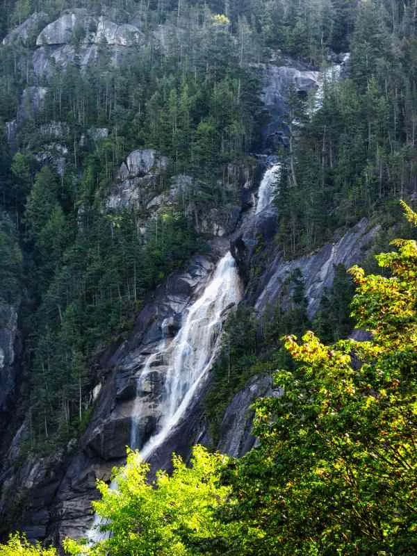 大熊雨林 Great Bear Forest