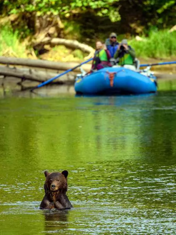 大熊雨林 Great Bear Forest