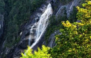 大熊雨林 Great Bear Forest