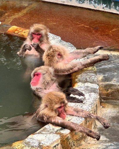 北海道旅游 Hokkaido Travel 猴子泡温泉