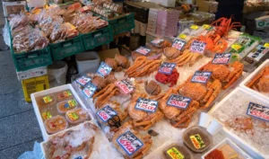 北海道旅游 Hokkaido Travel 函馆朝市