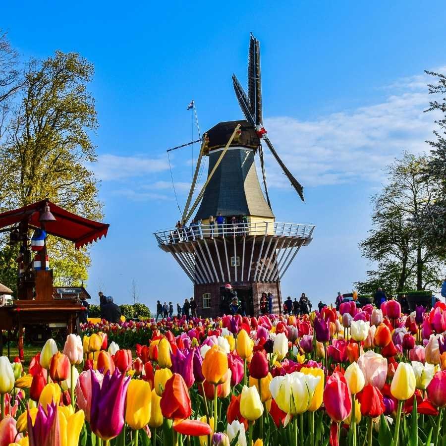 德法风情&荷比卢童话经典环游丨巴黎+凡尔赛+兰斯+卢森堡+特里尔+法兰克福+波恩+科隆+阿姆斯特丹+布鲁塞尔 7日6晚游