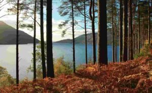 英国旅游 Travl to UK 罗梦湖 Loch Lomond