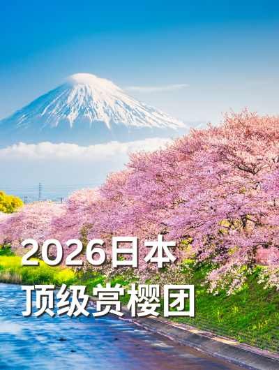 Cherry Bloom日本樱花团