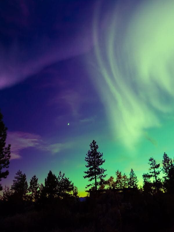 Untitled (600 × 800 px)